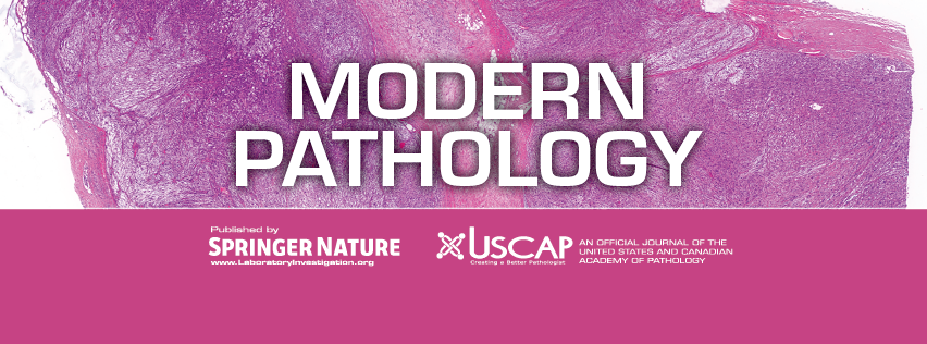 logo modern path